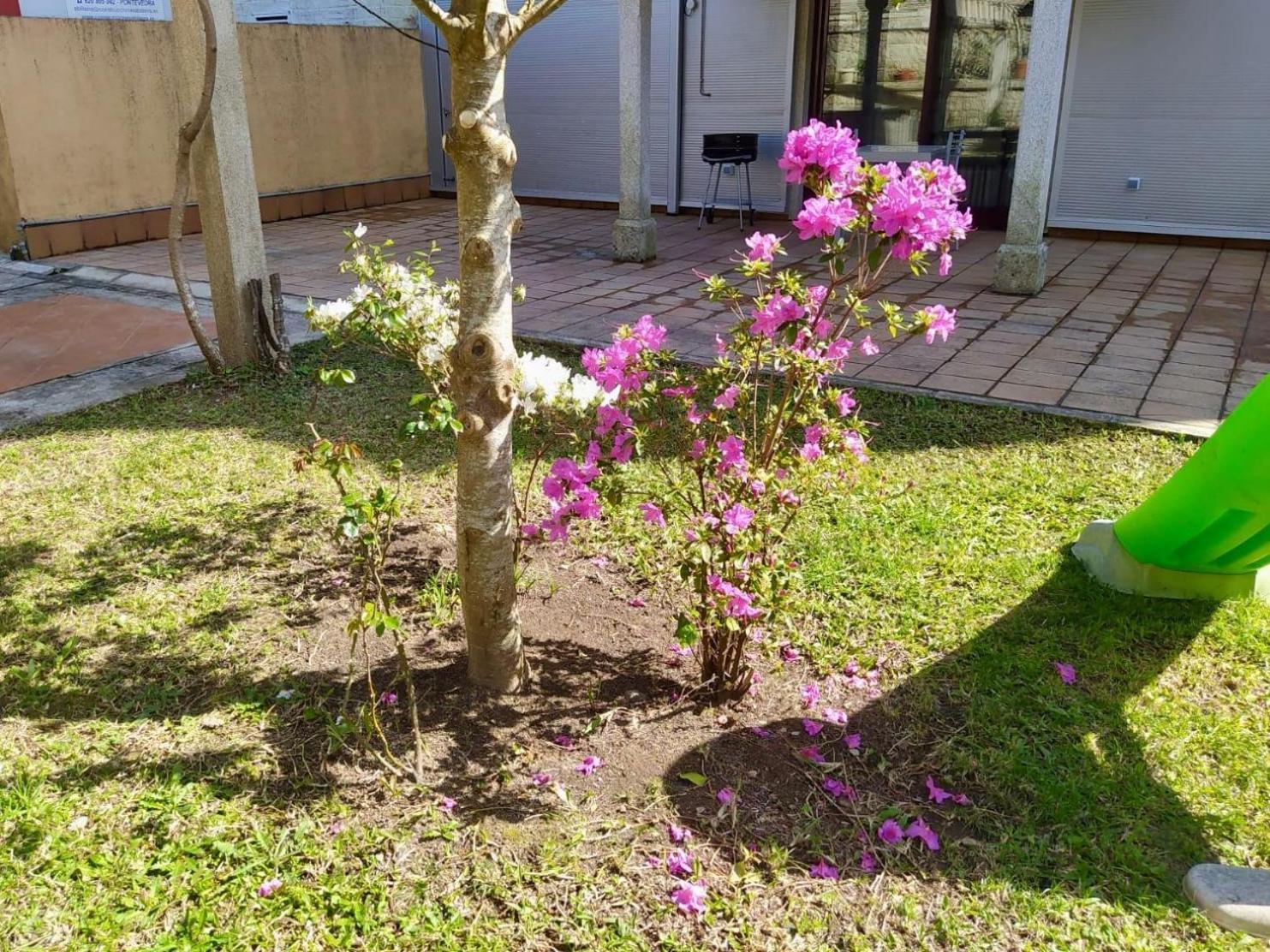 Apartamento Con Jardin Y Piscina Temporada Verano Privados Samieira Exterior photo